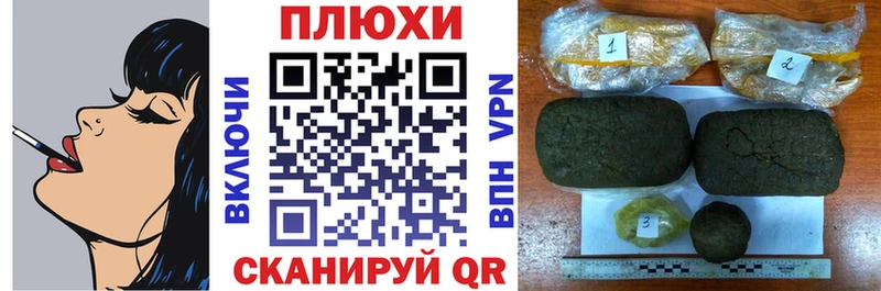 Купить где Питкяранта Гашиш индика сатива