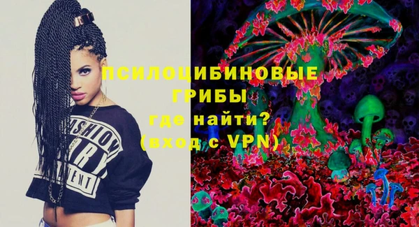 герыч Инта