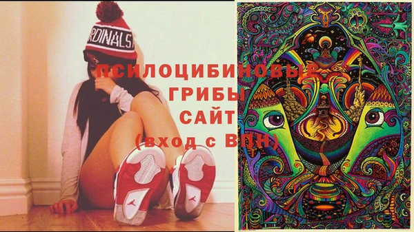 дурь Инсар
