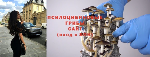 метадон Зеленодольск