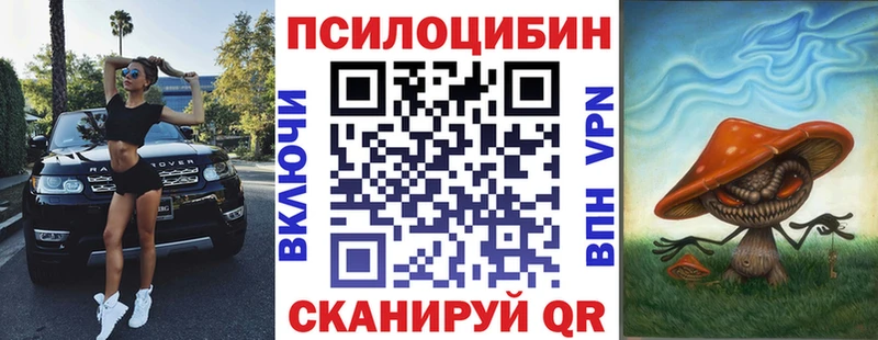 Купить где  Питкяранта  Псилоцибиновые грибы Psilocybine cubensis 